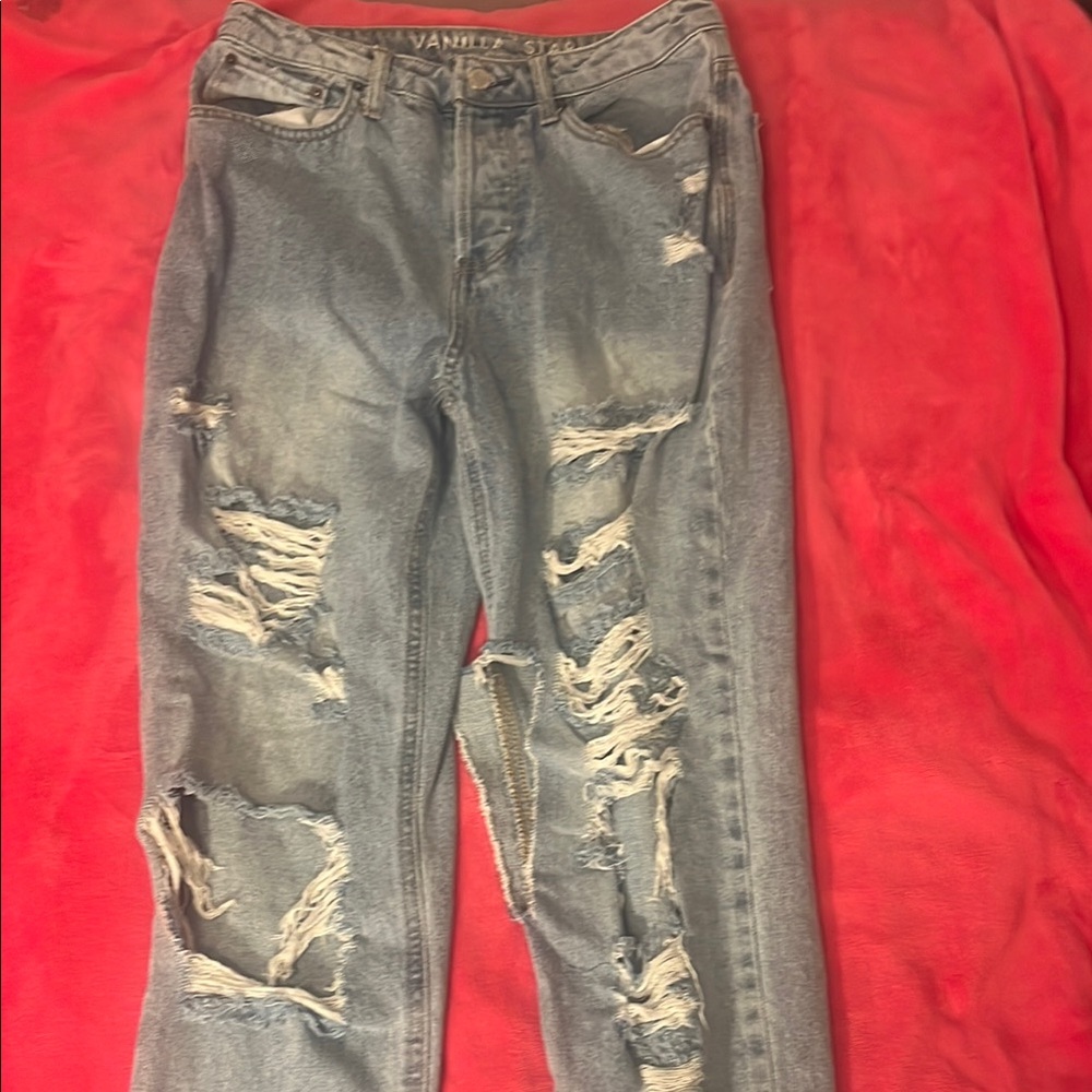 Vanity Light Blue Distressed Jeans